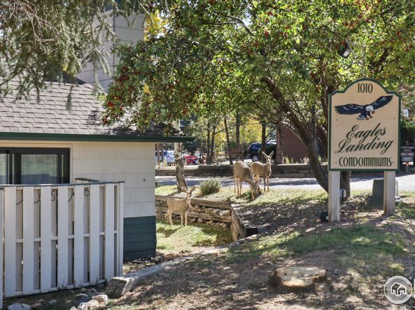1010 S Saint Vrain Ave D-4, Estes Park, CO 80517