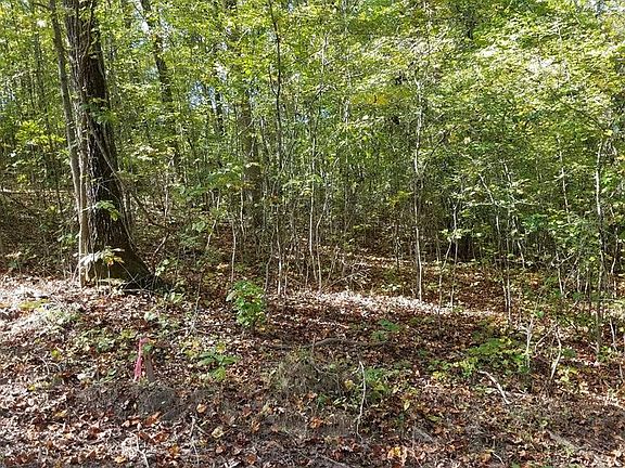 5th image of 0 Lakeview Dr