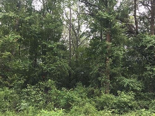 1st image of 1909 W Oliver Dr
