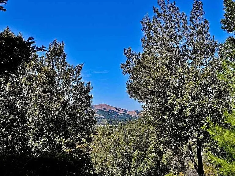 725 Watson Canyon Ct #114 — Photo 22