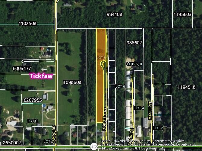 1st image of Dorothy Ln