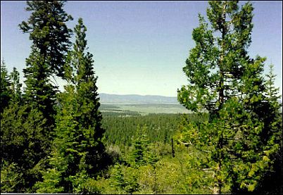 1st image of 0 Yak Ln #12