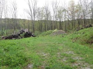 4177 Five Mile Rd, Allegany, NY 14706