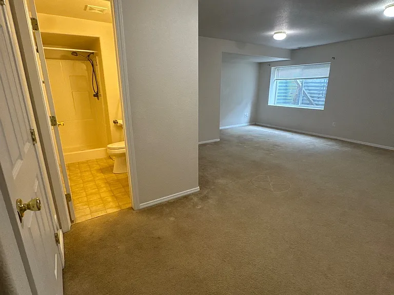 Basement, showing bathroom.