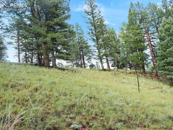 131 Lost Lake Cir, Divide, CO 80814