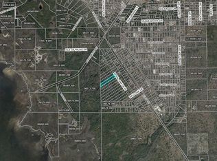 16539 W Royal Oak Dr, Perry, FL 32348