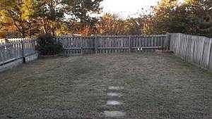back yard