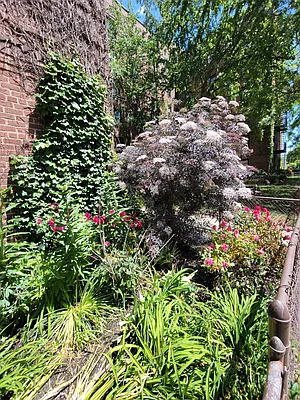 Rented by Queens Apartments Realty LLC | media 13