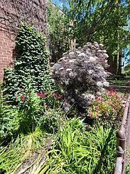 Rented by Queens Apartments Realty LLC