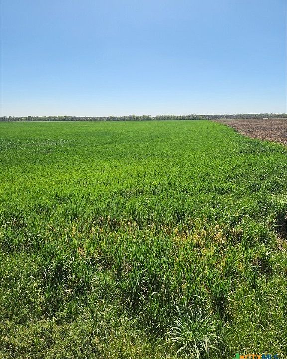 2nd image of T B D Dales Acres