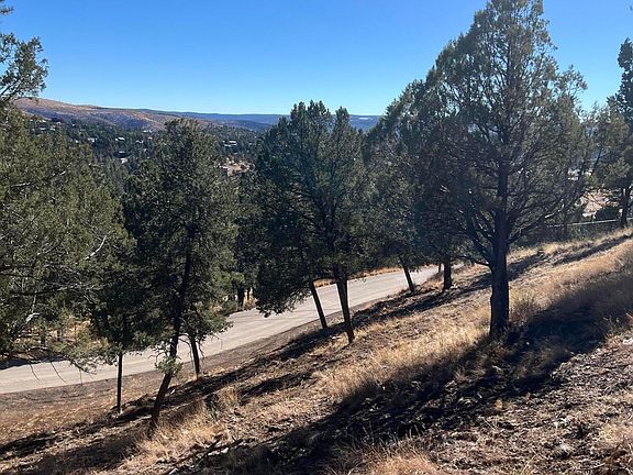 5th image of 115 College Dr