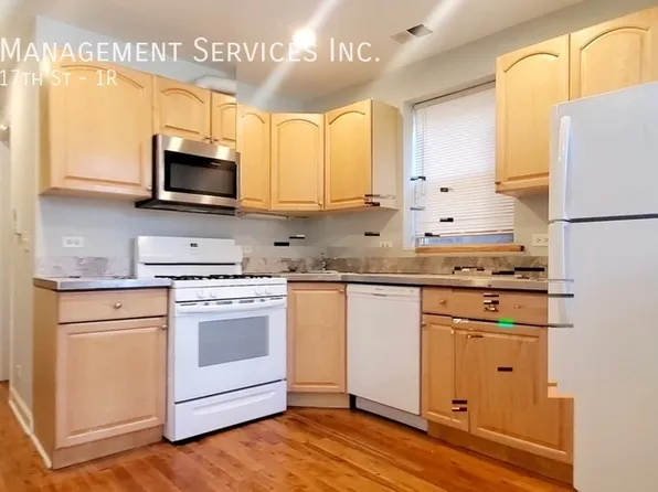 1119 W 17th St APT 1R, Chicago, IL 60608