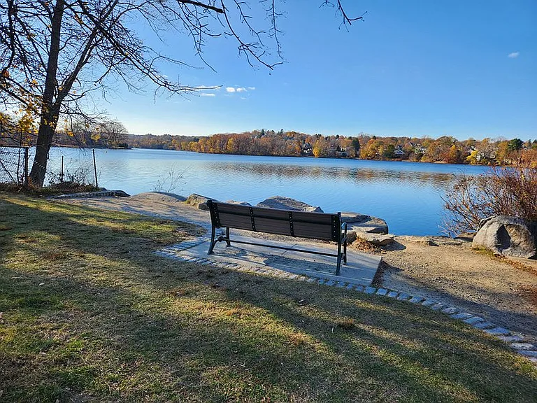 Stroll to Spy Pond.