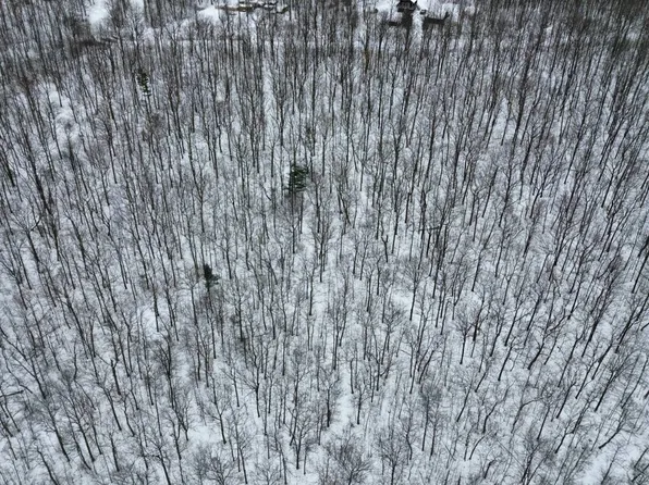 5537 Highlands Dr, Branchport, NY 14418