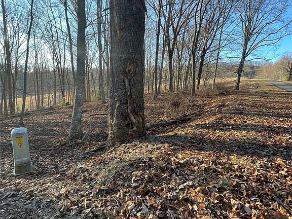 3rd image of Prime Cir Lot 81