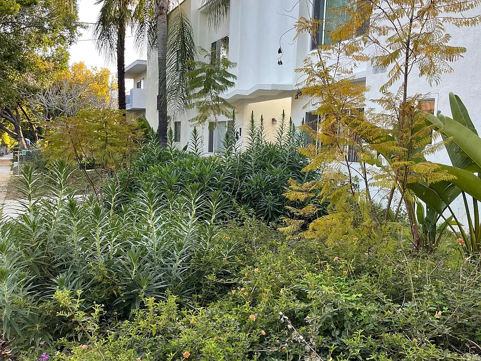 361 Waldo Ave #8