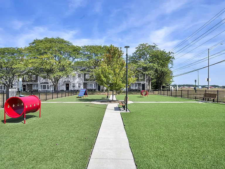 Massive Dog Park with Agility Equipment