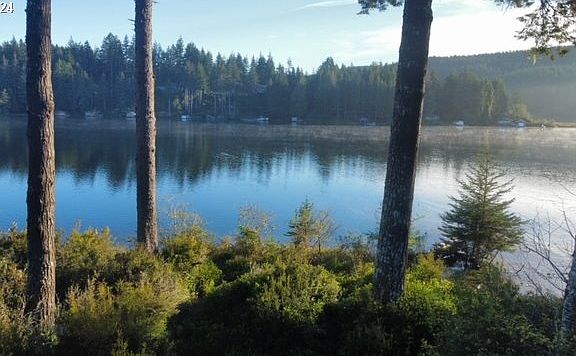 4th image of Clearwater Cove Way #2800
