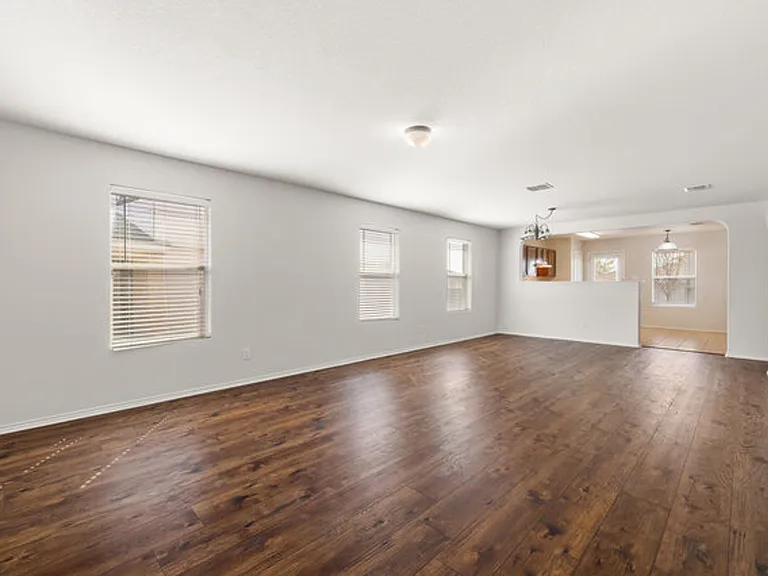 3918 Texas Hawthorn — Photo 2