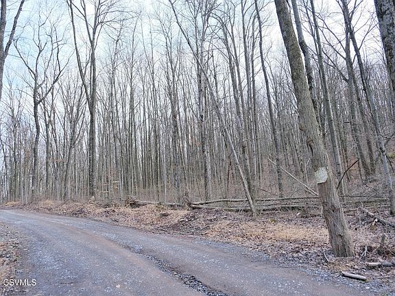 3rd image of 530 Tall Oak Ln