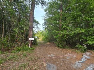 22 Elizabeth Ln, Early Branch, SC 29916