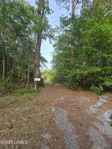 22 Elizabeth Ln, Early Branch, SC, 29916
