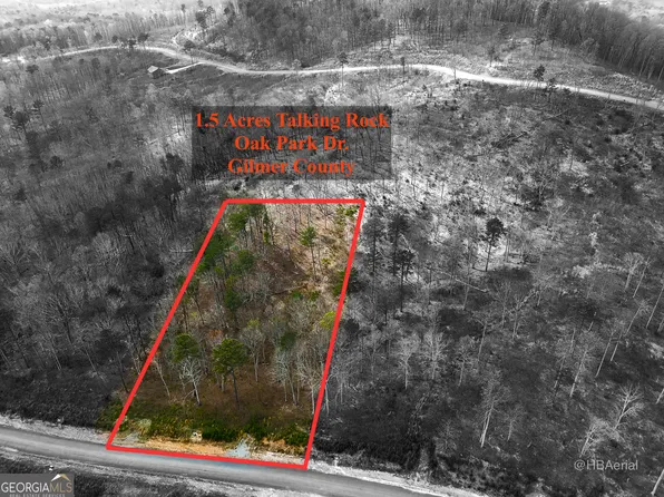 LOT 286 Oak Park Dr, Talking Rock, GA 30175