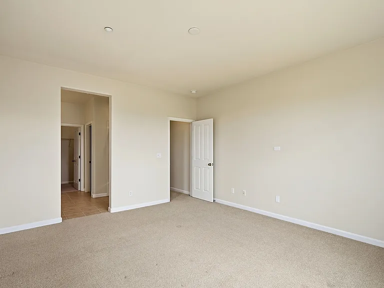 5206 Fioli Loop — Photo 15