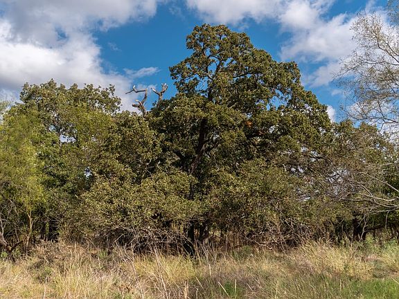 Owner Carry Acreage in Brown County, TX near Brownwood perfect for to build your next home on