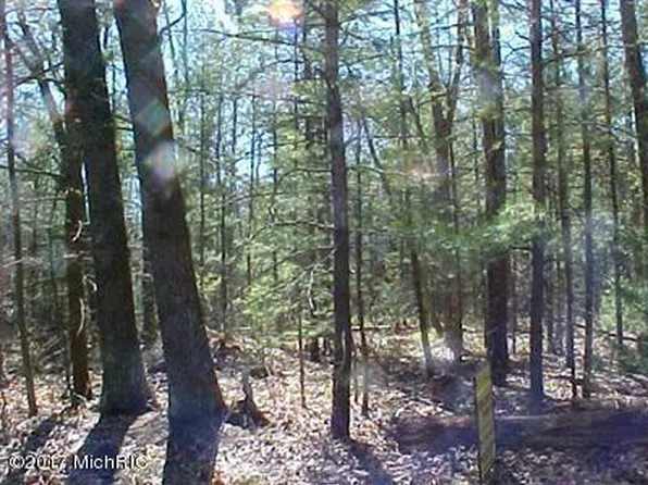 Fruitvale Rd, Montague, MI 49437