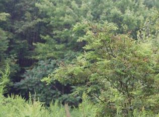 Thayer Rd, Erin, NY 14838