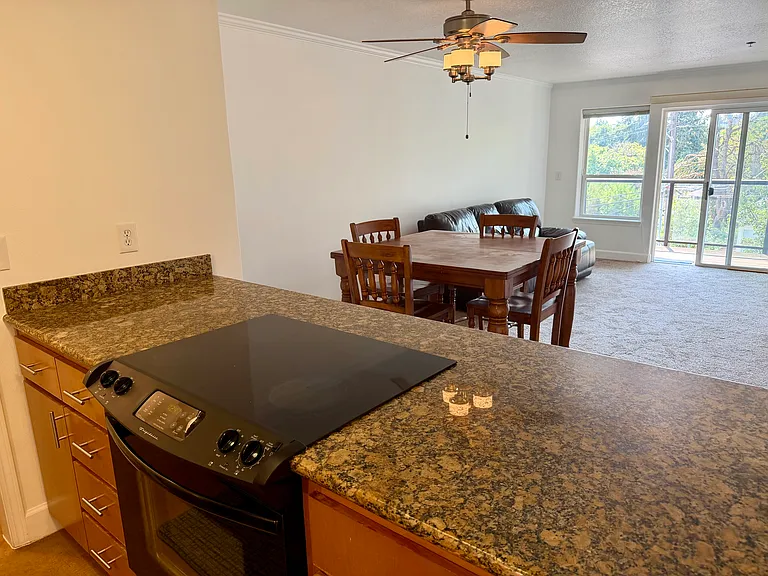 1033 SW Gibbs St #201 — Photo 7