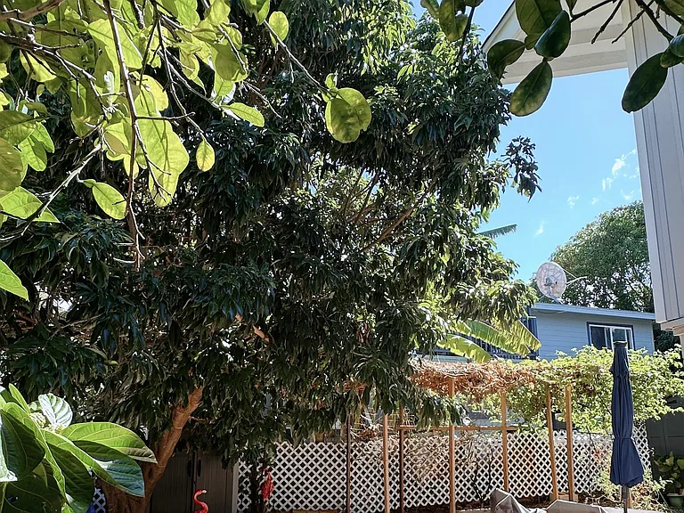 3368 Maunaloa Ave — Photo 12