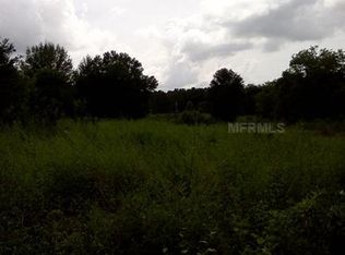 10132 County Road 746e, Webster, FL 33597