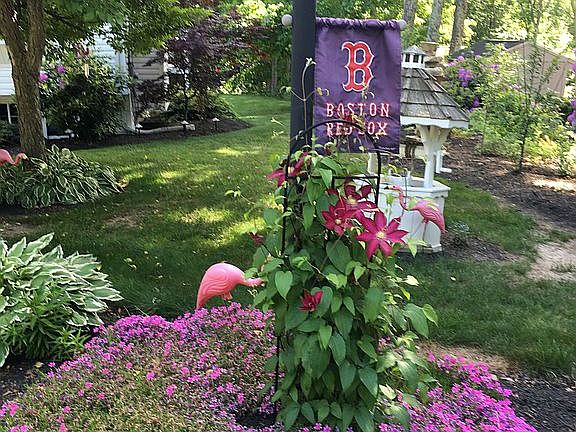 Mature landscaping