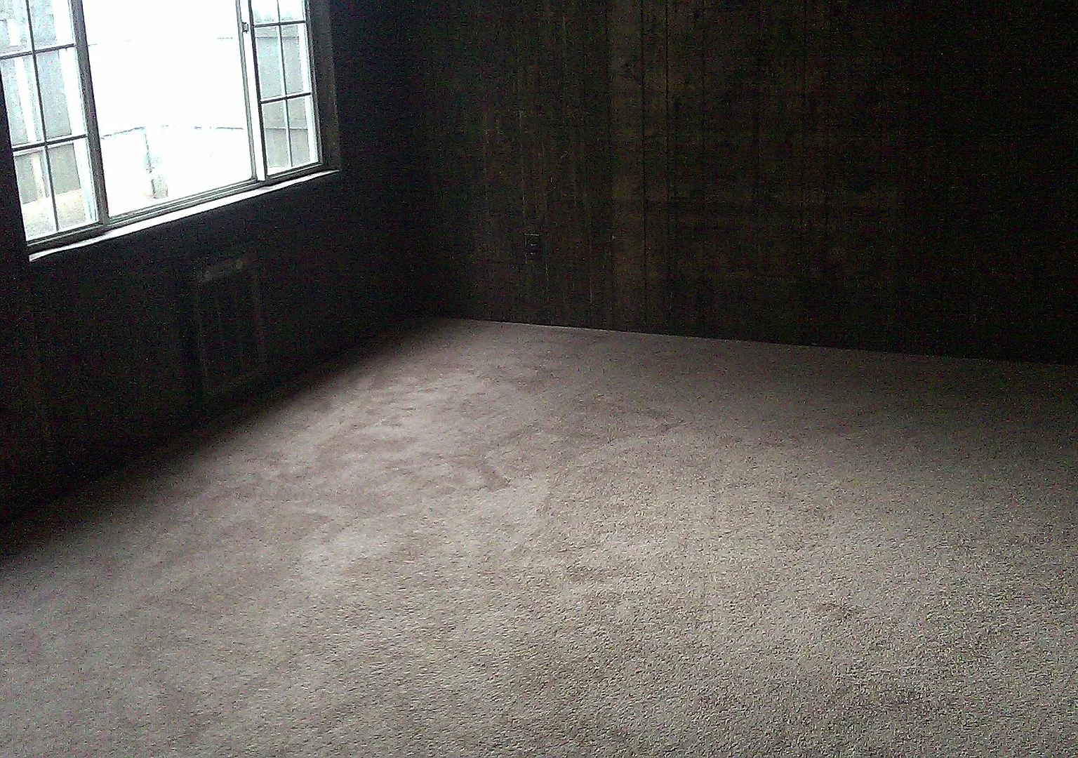 3 Bedroom House New Brighton — Photo 4
