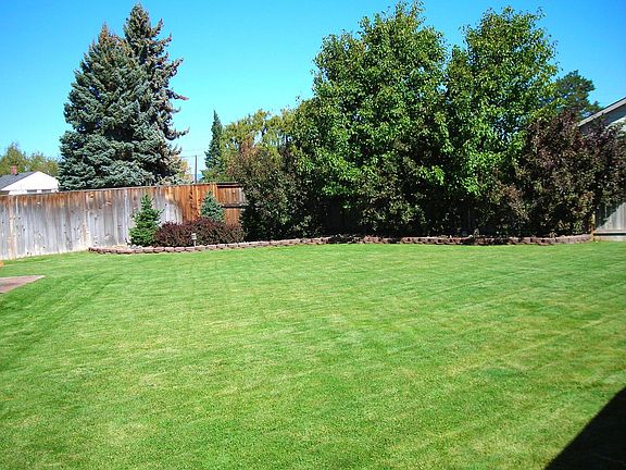 big backyard with mature landscaping