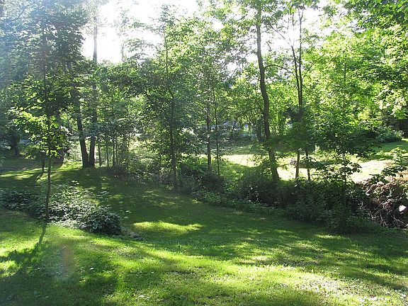 Back yard behind garage.