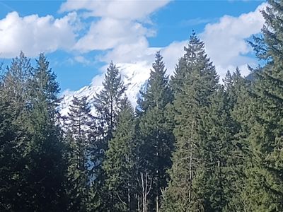 120 Bear Grass Lane, Packwood, WA, 98361