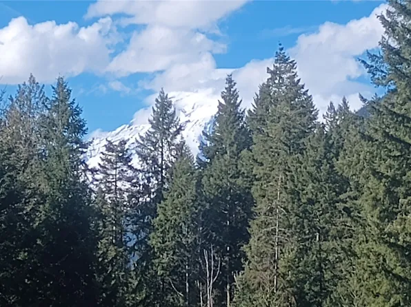 120 Bear Grass Lane, Packwood, WA 98361