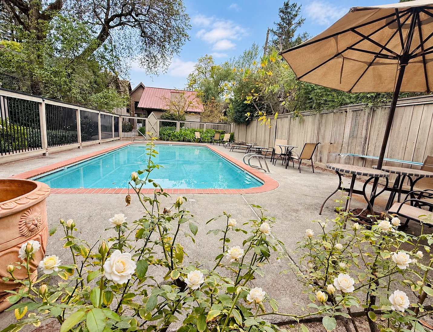 2 bed, $2,900 — Photo 2