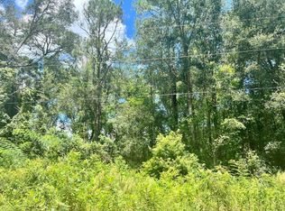 140th Ln LOT 40, Summerfield, FL 34491