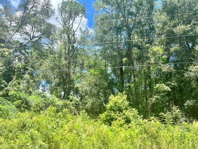 140th Ln LOT 40, Summerfield, FL, 34491