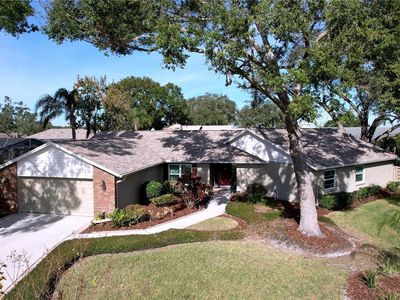 1618 Magdalene Manor Dr, Tampa, FL, 33613