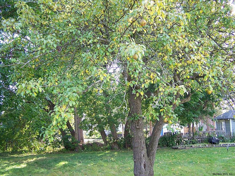 2nd image of 0 LAURA Street