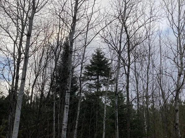 On Hemlock Lake Rd, Crandon, WI 54520