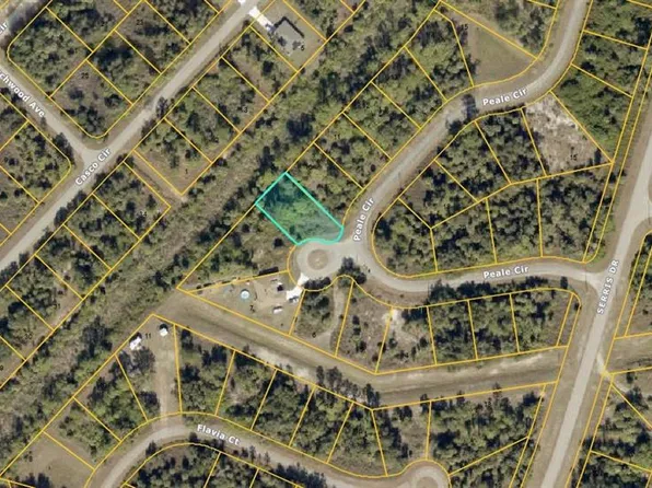 PEALE LOT #9 COURT LOT 9, NORTH PORT, FL 34288
