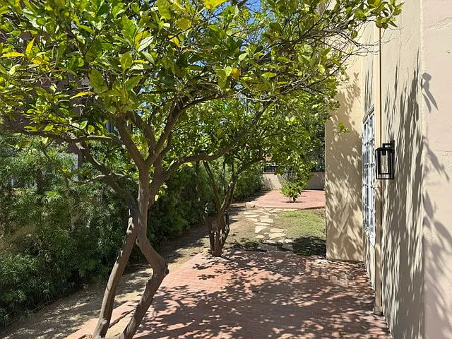 2222 Canyonback Rd — Photo 19