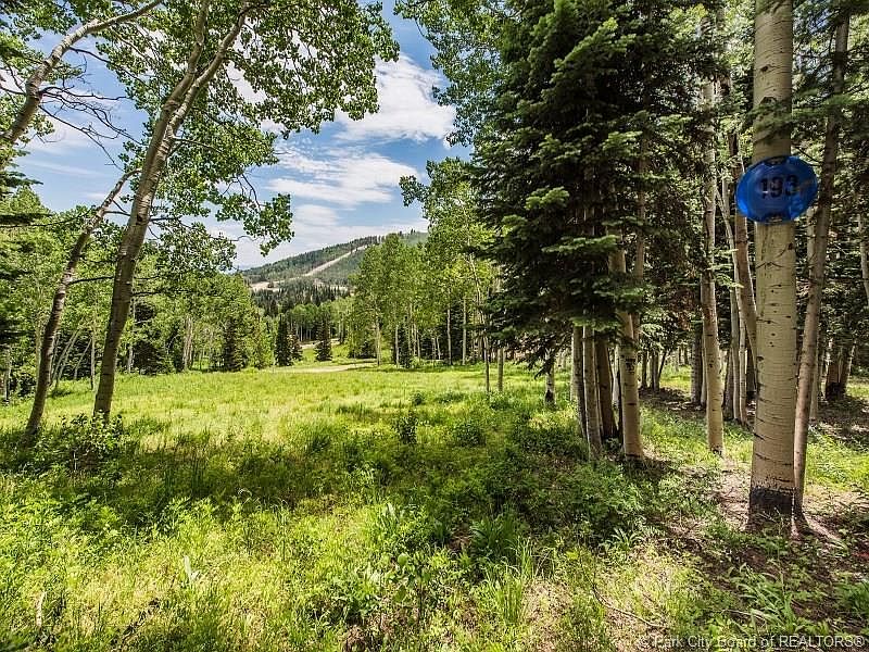 1st image of 193 White Pine Canyon Rd #193