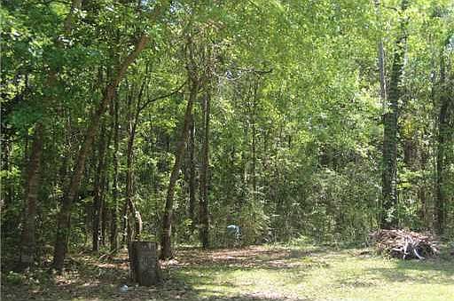 5th image of 335 River Oaks Dr